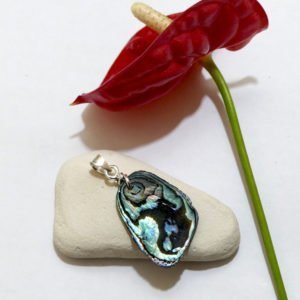 The Amulet Of Ocean